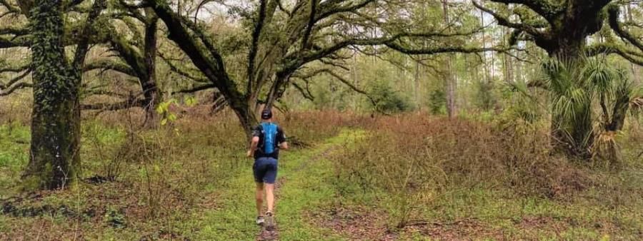 Skunk Ape Night Run