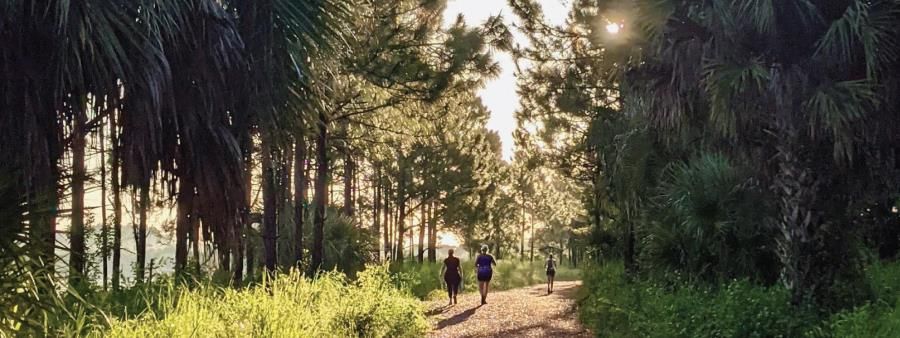 The Osprey Trail Run