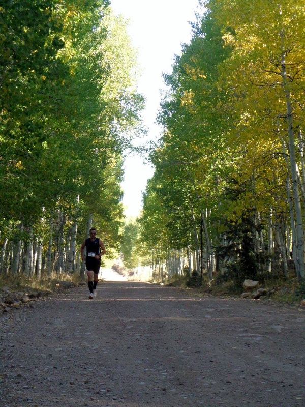 Take It To the Lake Half Marathon and 10K 2025