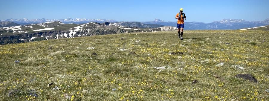 Devil's Backbone 50 Mile & Relay