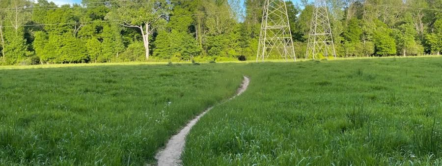 Samar 4 and 8 Miler
