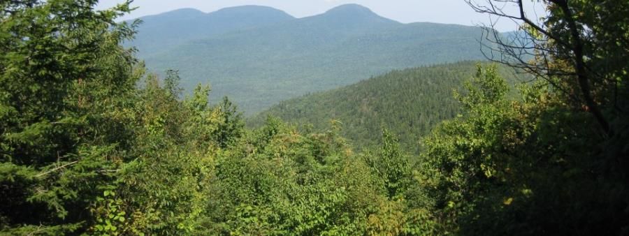 Manitou’s Revenge