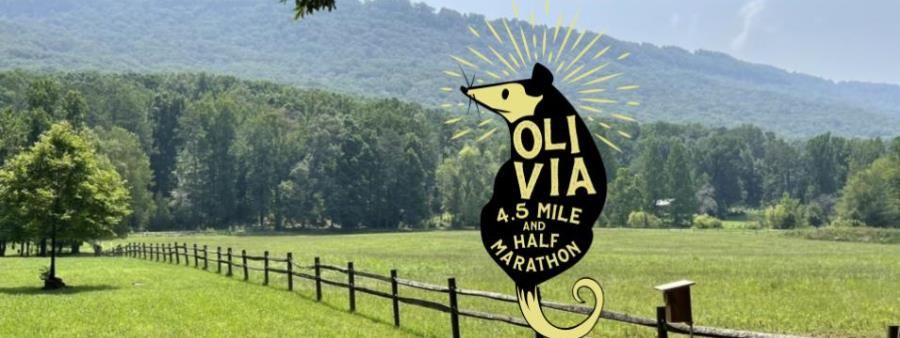 Chattanooga 1/2 Marathon and 4.5 Mile Race