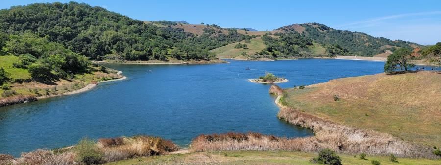 South Hills Single Track Trail Run - Summer