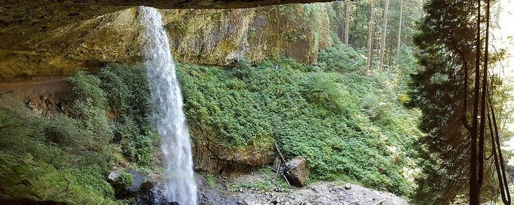 Silver Falls XC Mountain Bike Race / OBRA State XC Championship