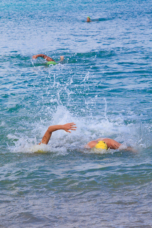 29th Annual St. Croix Coral Reef Swims