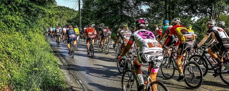 25th Annual Blood Sweat and Gears