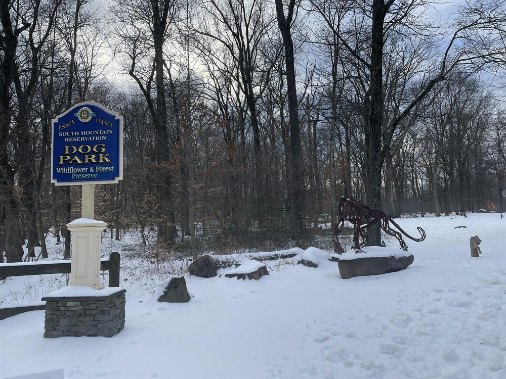 Mini Walk Series: South Mountain Reservation