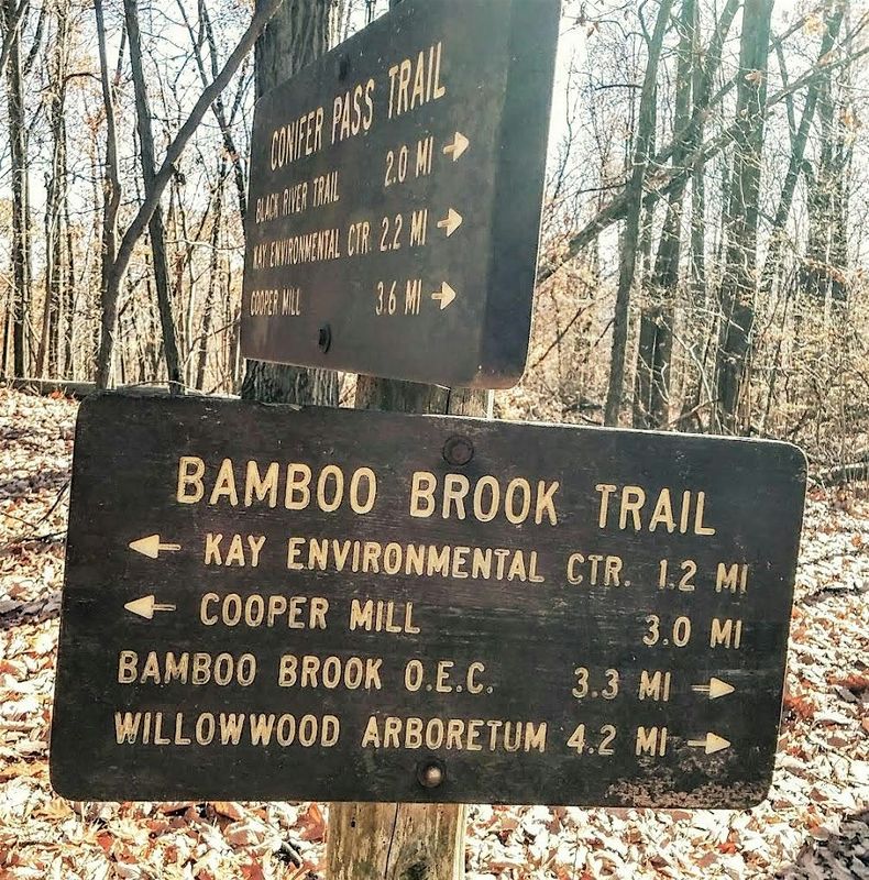 Black River Trail Hike