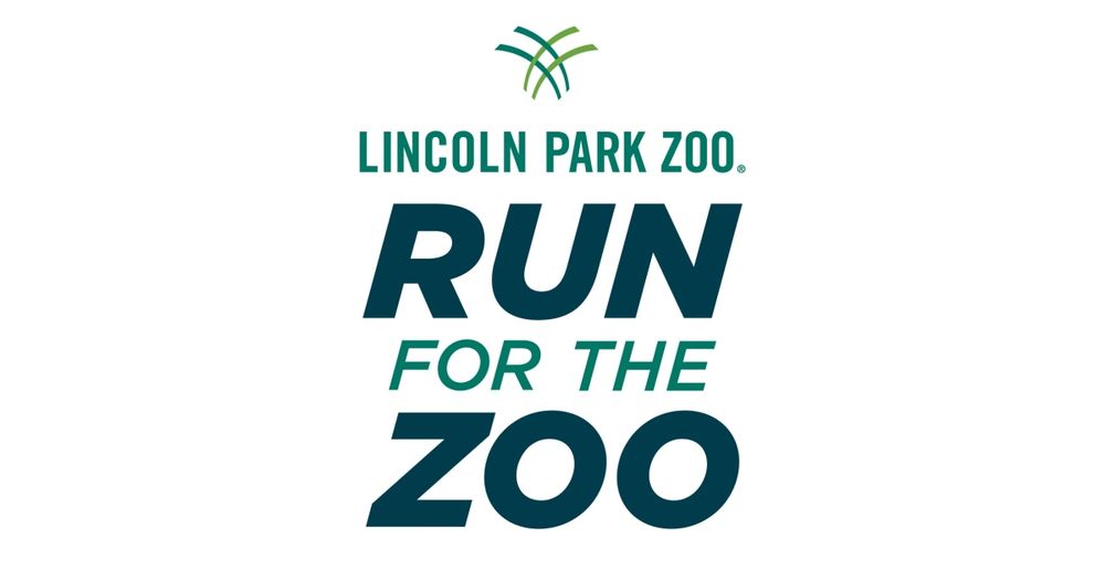 Run for the Zoo 2025 Apuama