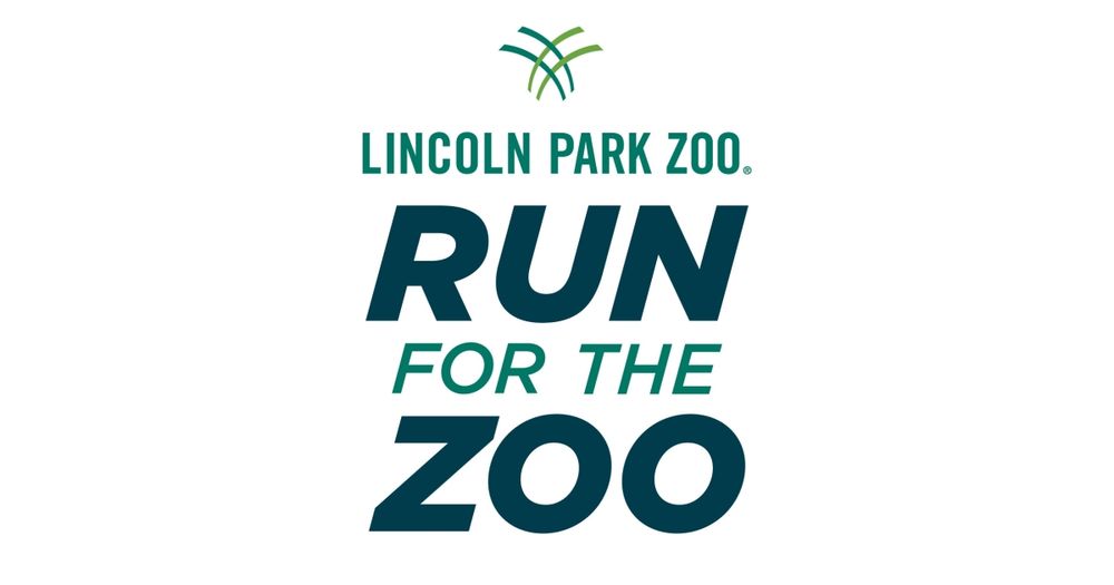 Run for the Zoo 2024 Apuama