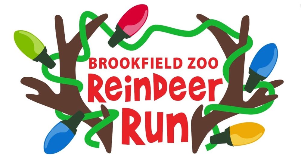 Brookfield Zoo Reindeer Run Apuama