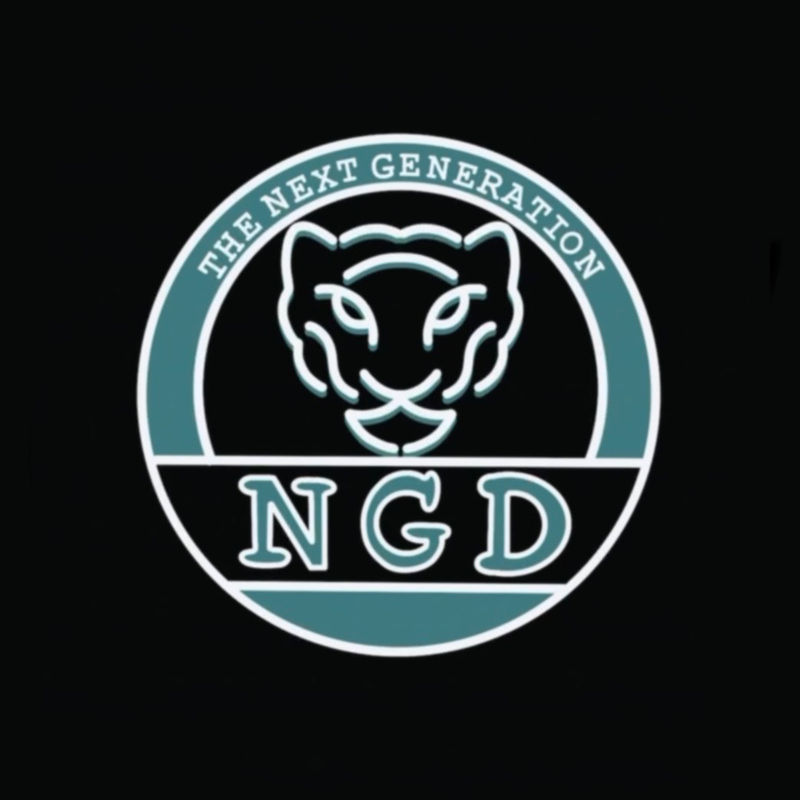 NextGenDingmad