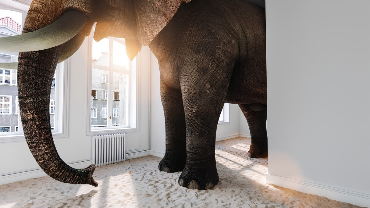 An elephant standing in a brightly lit room with sandy floor and large windows.