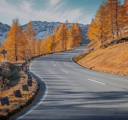 A winding road surrounded by trees with golden autumn foliage and mountains in the background.
