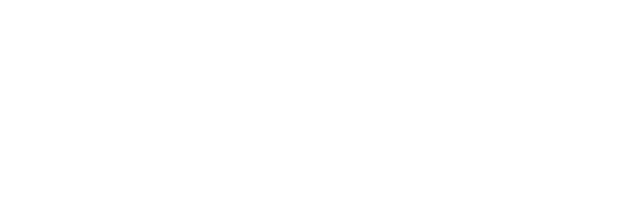 Activo Bank