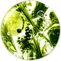 Supergreens