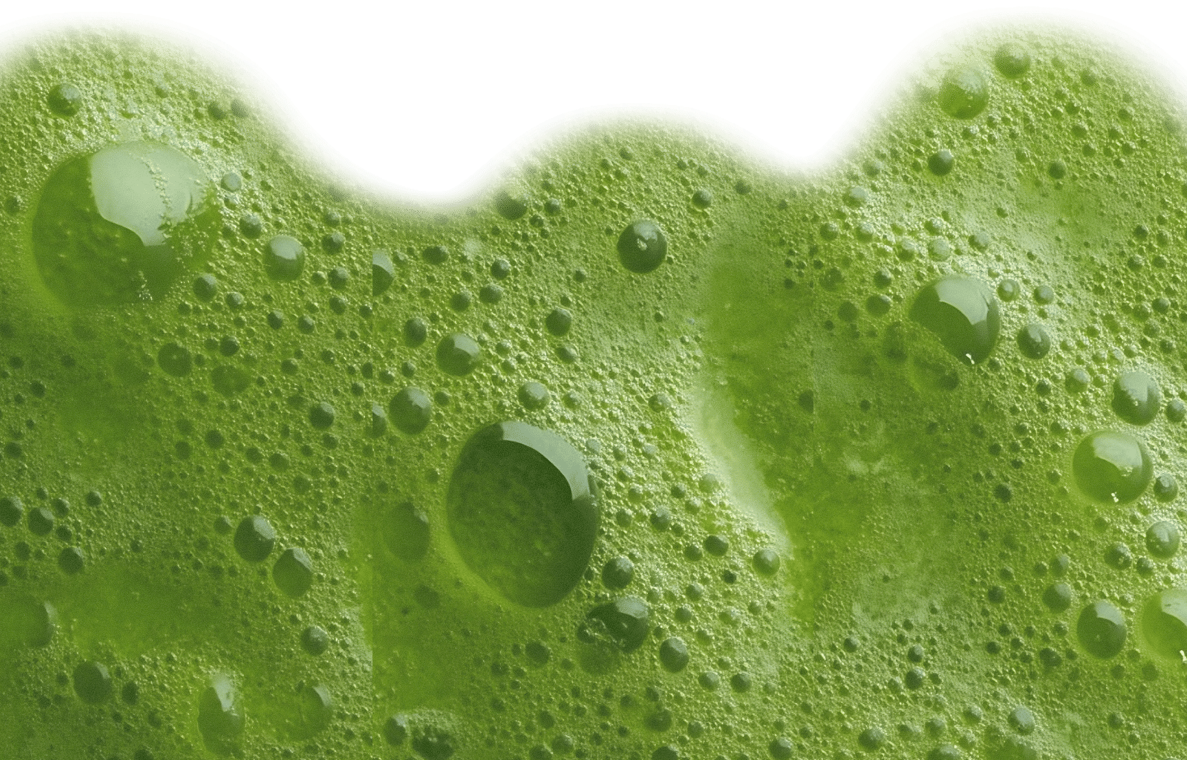 Greens Bubbly Background