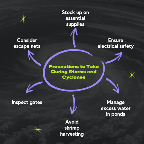 Precautions to take during storms and cyclones