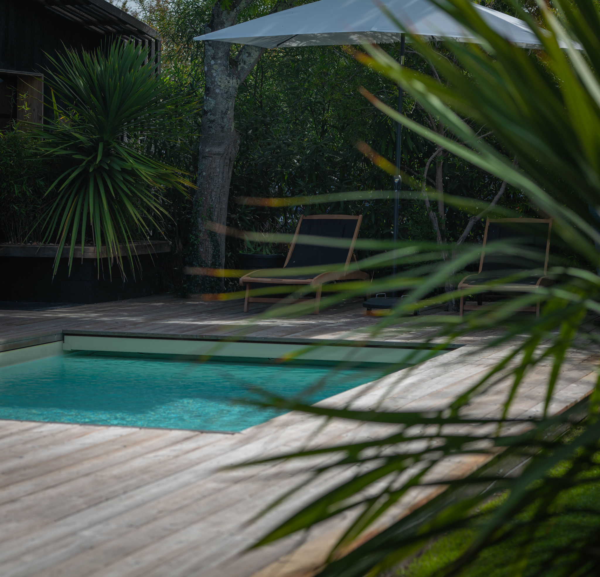 rénovation de piscine le taillan médoc