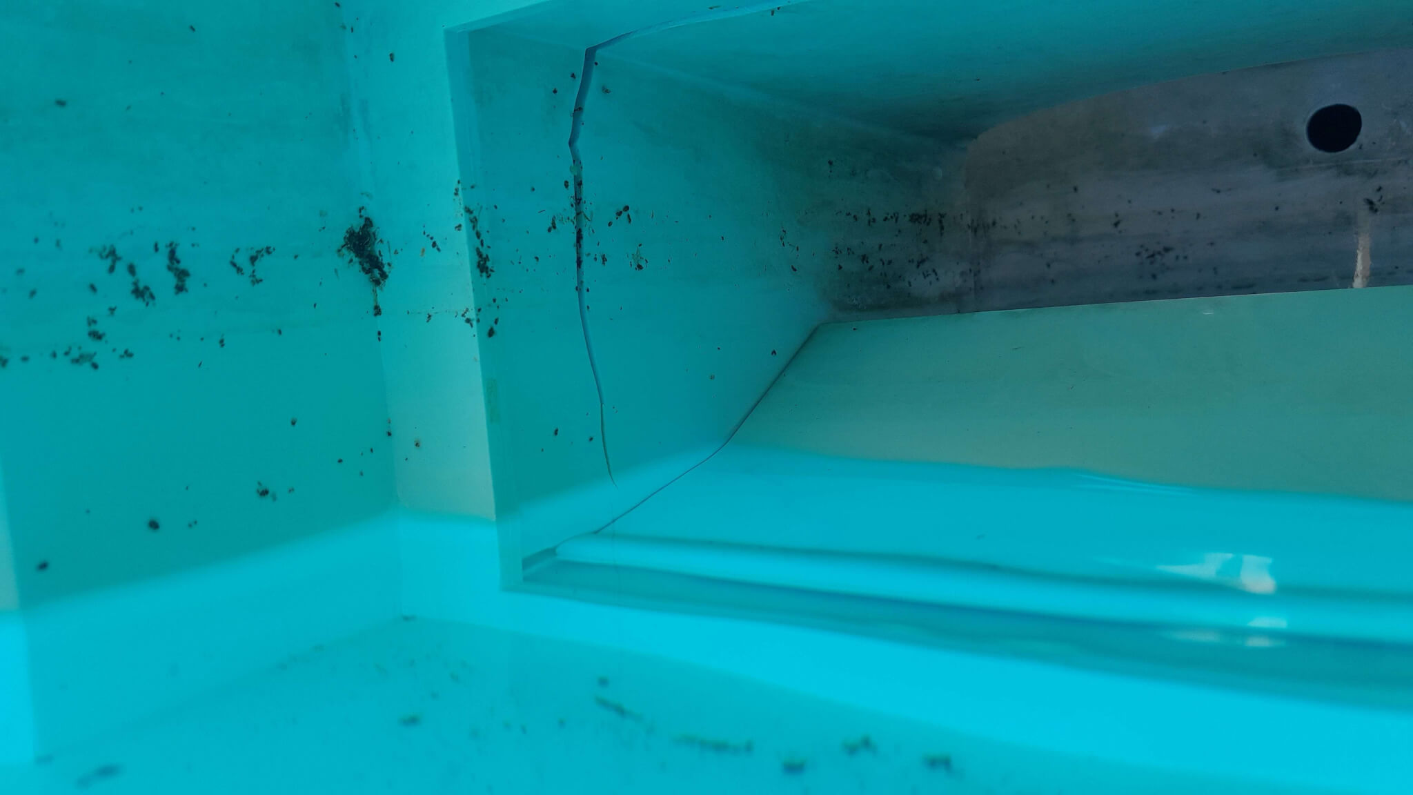 Skimmer piscine cassé : guide complet réparation et remplacement - Aquanov