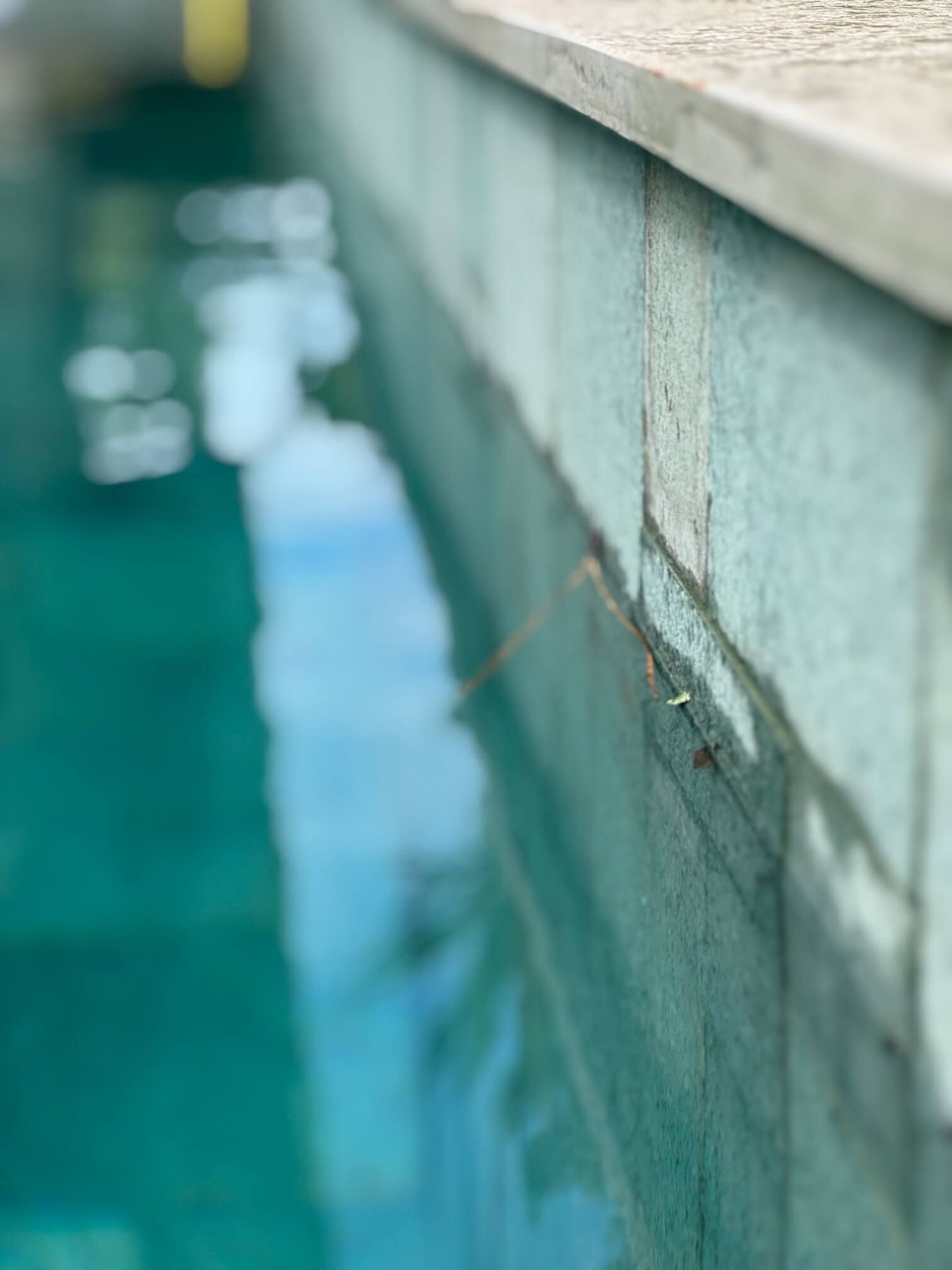 constructeur de piscine carrelée sur mesure