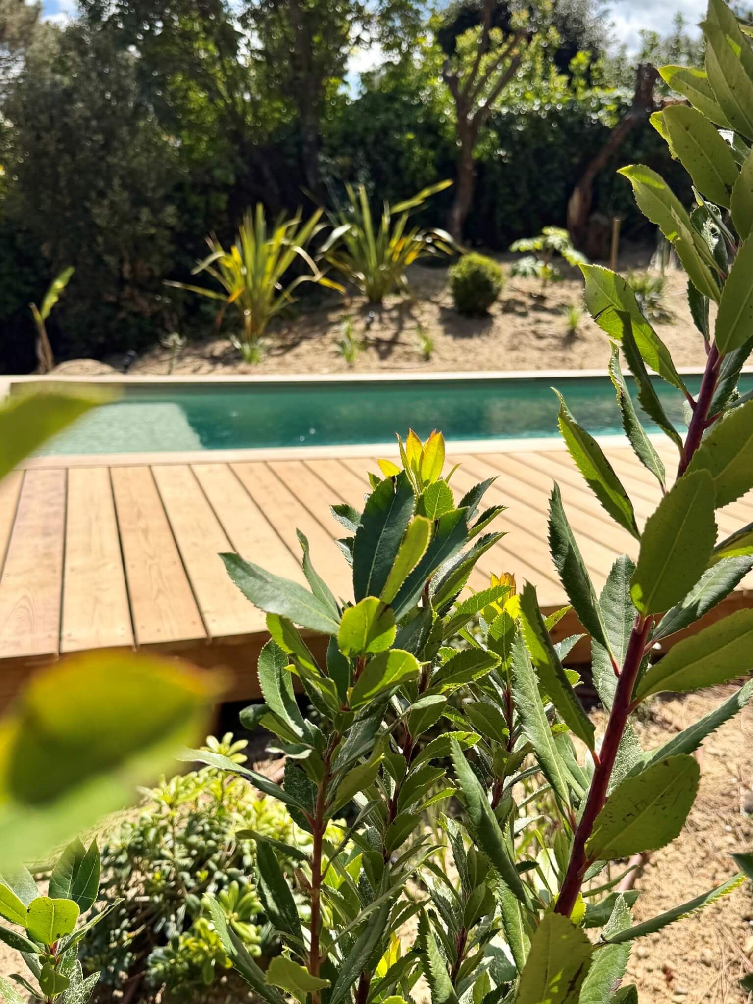 conception d'une piscine éco responsable