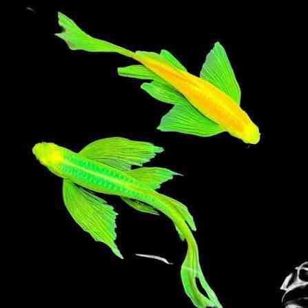 images (16)