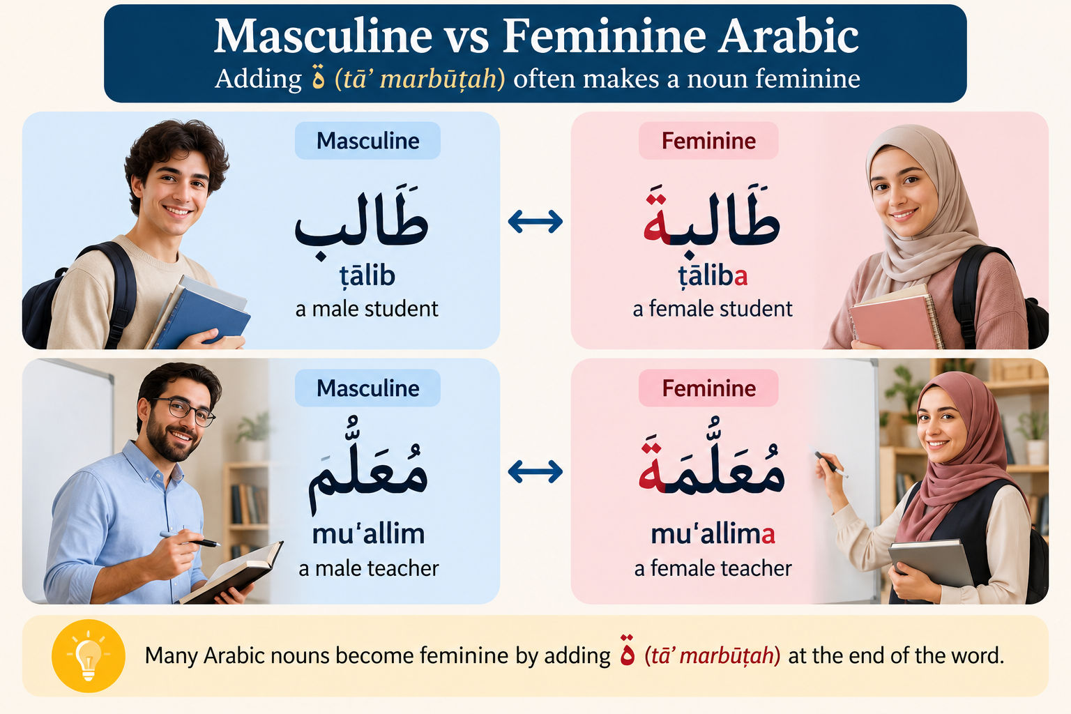 مذكر ومؤنث في العربية  إضافة ة