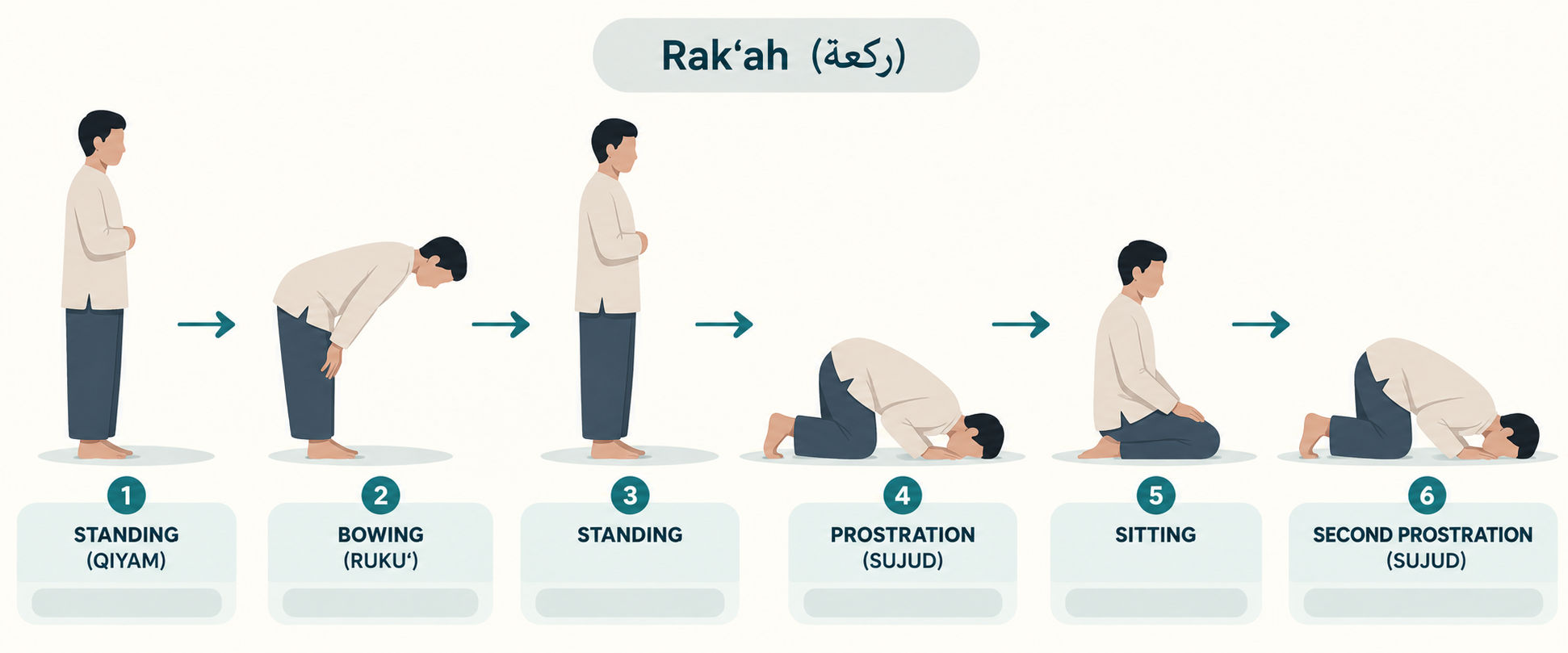 مراحل الركعة في الصلاة الإسلامية