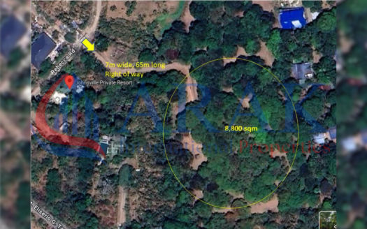 8,800 SQM Mango Farm in Sampaloc III, Dasmariñas, Cavite – Serene Agricultural Haven Ideal for Eco-Living or Future Development