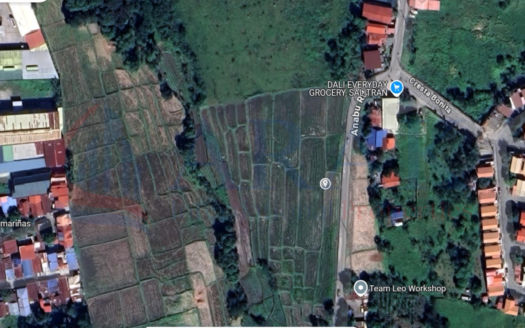 9,801 sqm Prime Vacant Raw Land in Salitran 2, Dasmariñas, Cavite