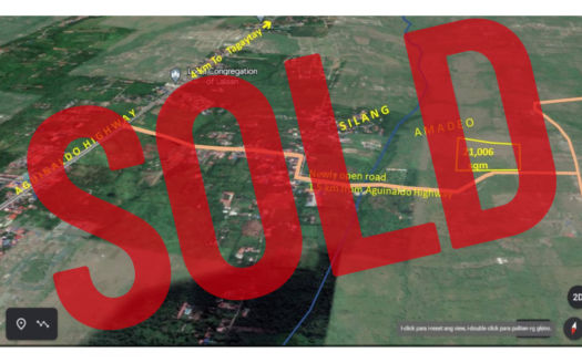 [SOLD] 2-Hectares Raw Land in AMADEO CAVITE