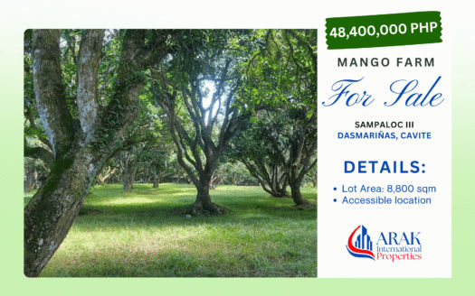 8,800 SQM Mango Farm in Sampaloc III, Dasmariñas, Cavite – Serene Agricultural Haven Ideal for Eco-Living or Future Development