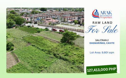 9,801 sqm Prime Vacant Raw Land in Salitran 2, Dasmariñas, Cavite