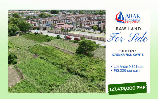9,801 sqm Prime Vacant Raw Land in Salitran 2, Dasmariñas, Cavite