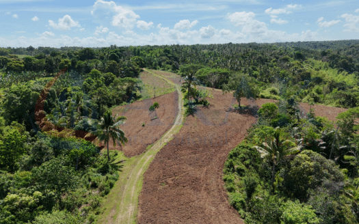 Prime 15.4-Hectare Farm Land in Brgy. Caluangan, Magallanes, Cavite