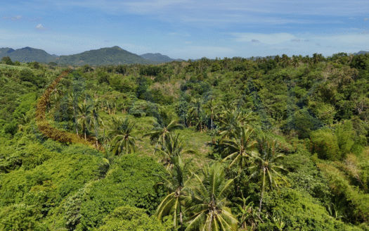 Prime 15.4-Hectare Farm Land in Brgy. Caluangan, Magallanes, Cavite