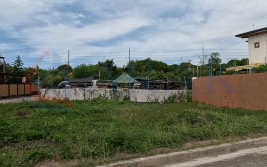 258 SQM Residential Lot for Sale in Southfield Executive Village, Dasmariñas, Cavite