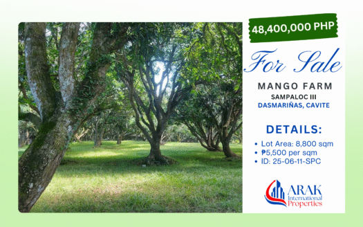 8,800 SQM Mango Farm in Sampaloc III, Dasmariñas, Cavite – Serene Agricultural Haven Ideal for Eco-Living or Future Development