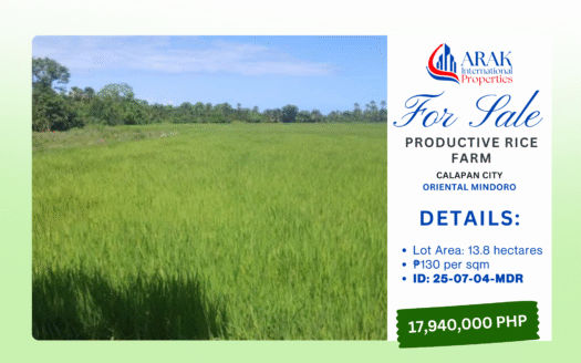 Productive Rice Farm in Calapan City, Oriental Mindoro