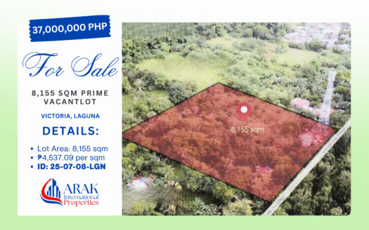 8,155 sqm Prime Vacant Lot in Victoria, Laguna
