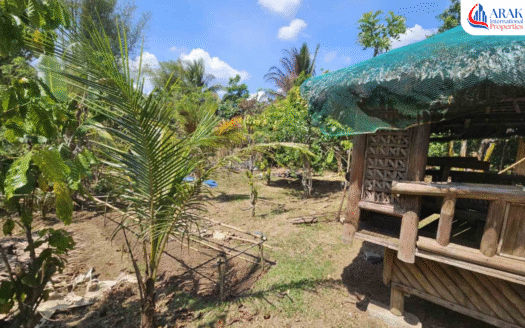 Agri-Residential Farm Lot in Alfonso, Cavite