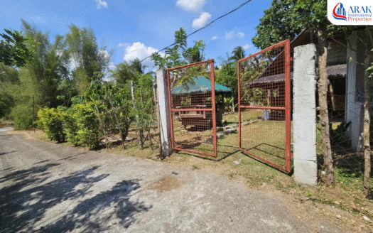 Agri-Residential Farm Lot in Alfonso, Cavite