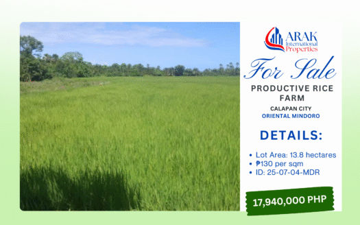 Productive Rice Farm in Calapan City, Oriental Mindoro
