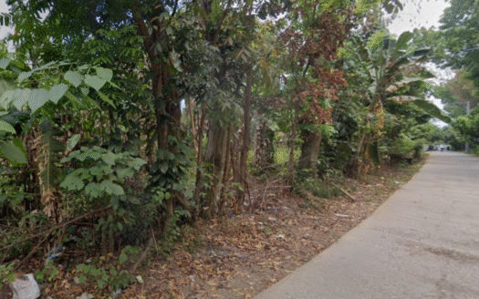 8,155 SQM Prime Lot in Victoria, Laguna