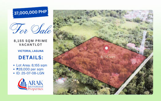 8,155 SQM Prime Lot in Victoria, Laguna