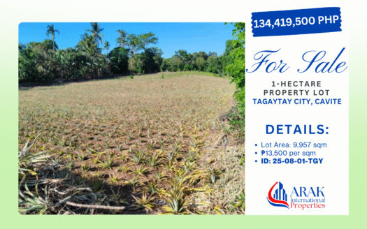 1-Hectare Property Lot in Tagaytay City – Ideal for Farm Estate or Development!