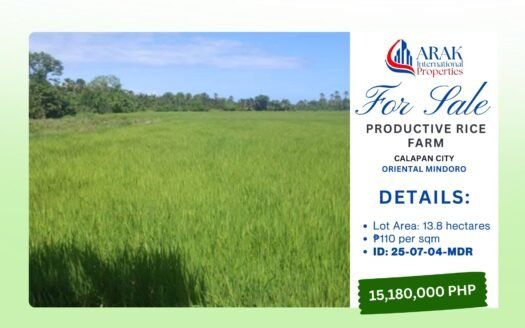 Productive Rice Farm in Calapan City, Oriental Mindoro