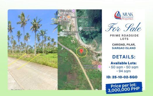 Prime Roadside Lots in Caridad, Pilar, Siargao Island 🌊